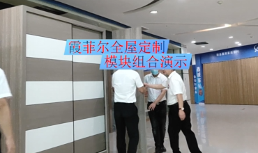 霞菲尔模块组合演示